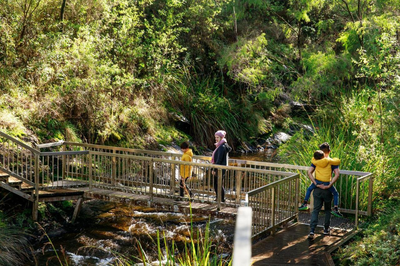 RAC Karri Valley Resort Pemberton Exteriör bild